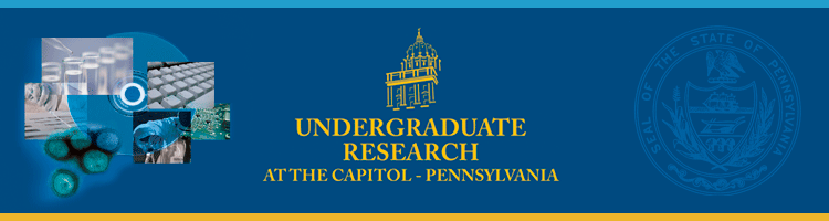 Undergraduate Research